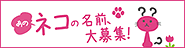 あのネコの名前、大募集！
