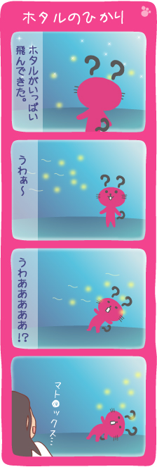 vol88_Hotaru.jpg