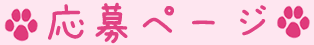 応募ページ
